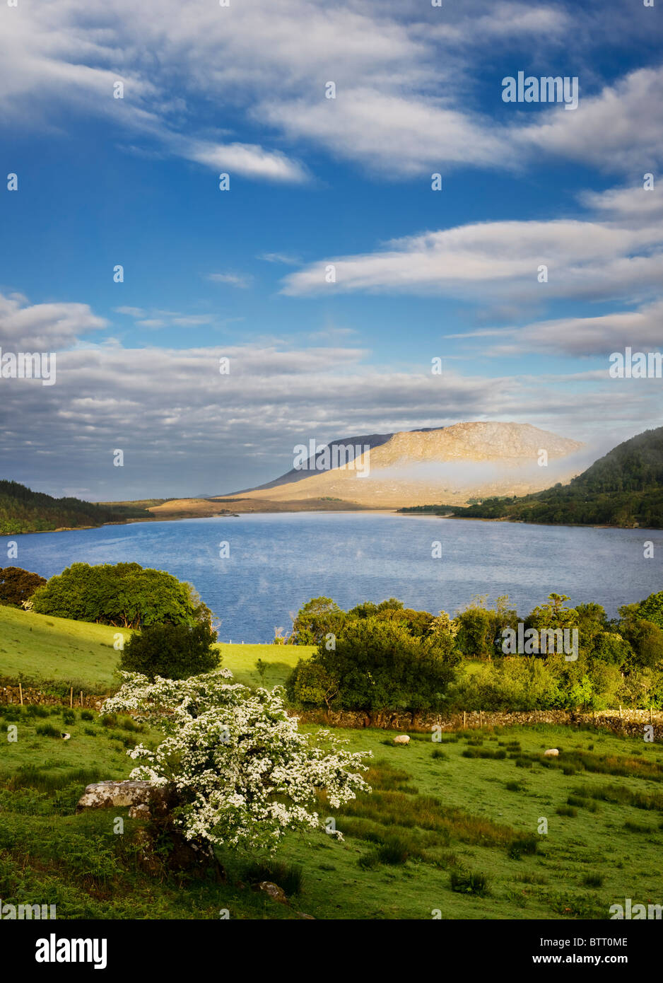 Il nord-riva occidentale del Lough Corrib, vicino Doon rocce, guardando verso la montagna Lackavrea, Connemara, Co Galway, Irlanda Foto Stock