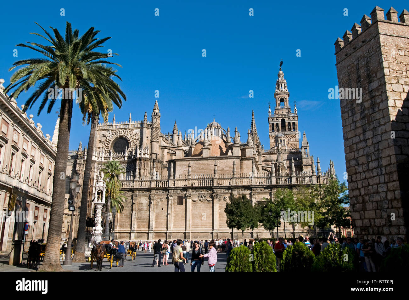 La Giralda Cattedrale Seville Spagna Andalusia Andalusia spagnolo Foto Stock