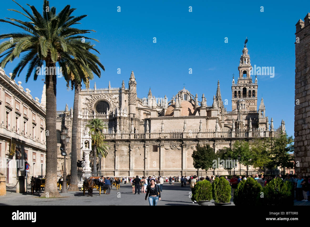 La Giralda Cattedrale Seville Spagna Andalusia Andalusia spagnolo Foto Stock