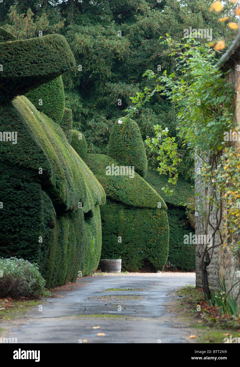 Interessante siepe visto nel villaggio Costwold di Broadway in Worcestershire, Regno Unito Foto Stock