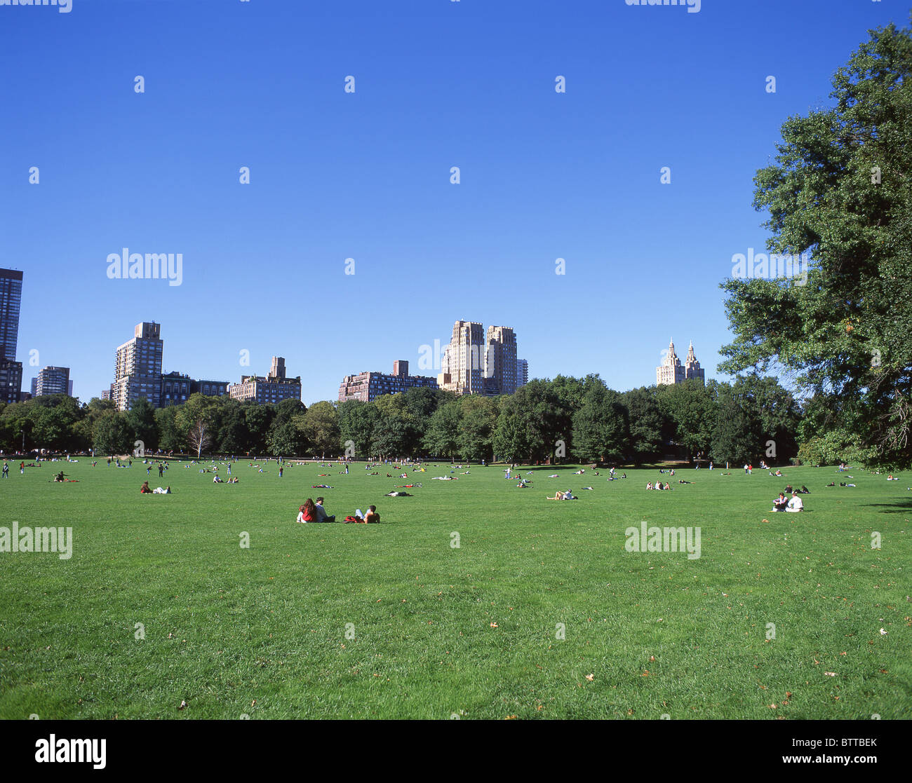 Central Park in estate, Manhattan, New York, nello Stato di New York, Stati Uniti d'America Foto Stock
