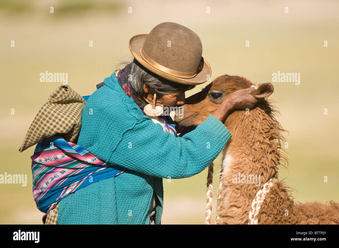 Donna boliviana addomesticare un giovane llama, San Juan, Potosi, Bolivia Foto Stock