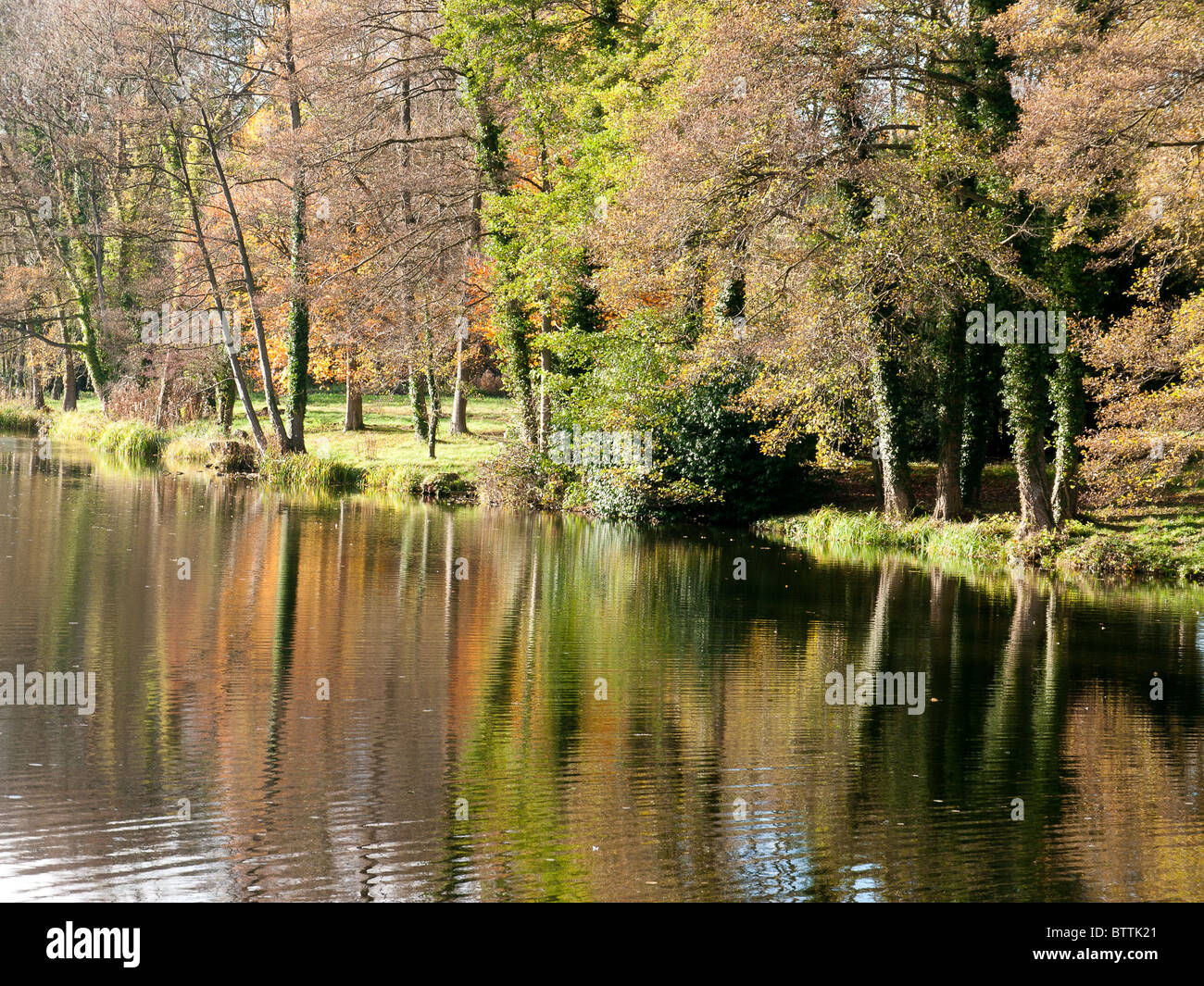 Riflessi di autunno nel lago in Foto Stock