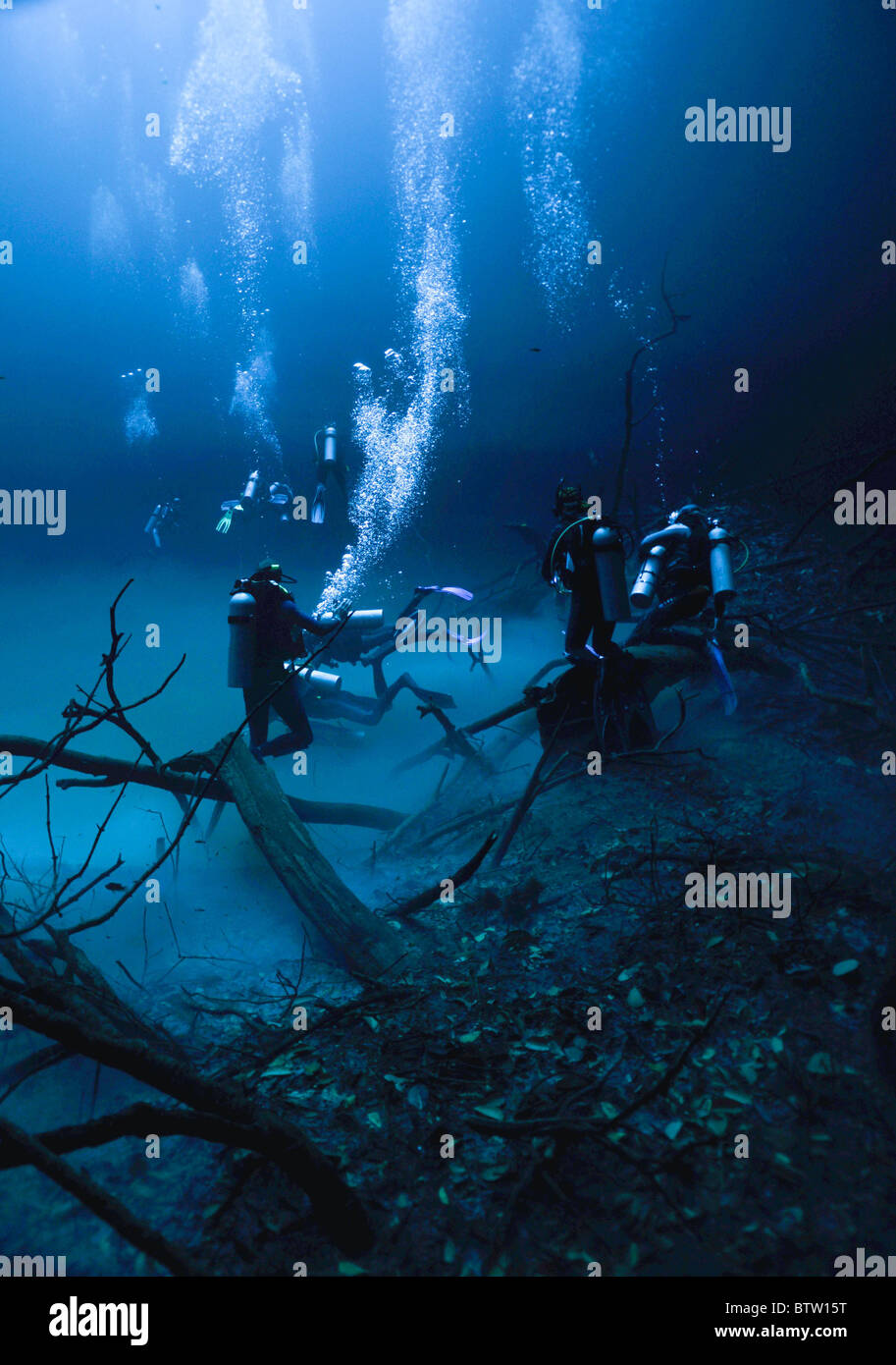 Cenote angelita, Messico Foto Stock