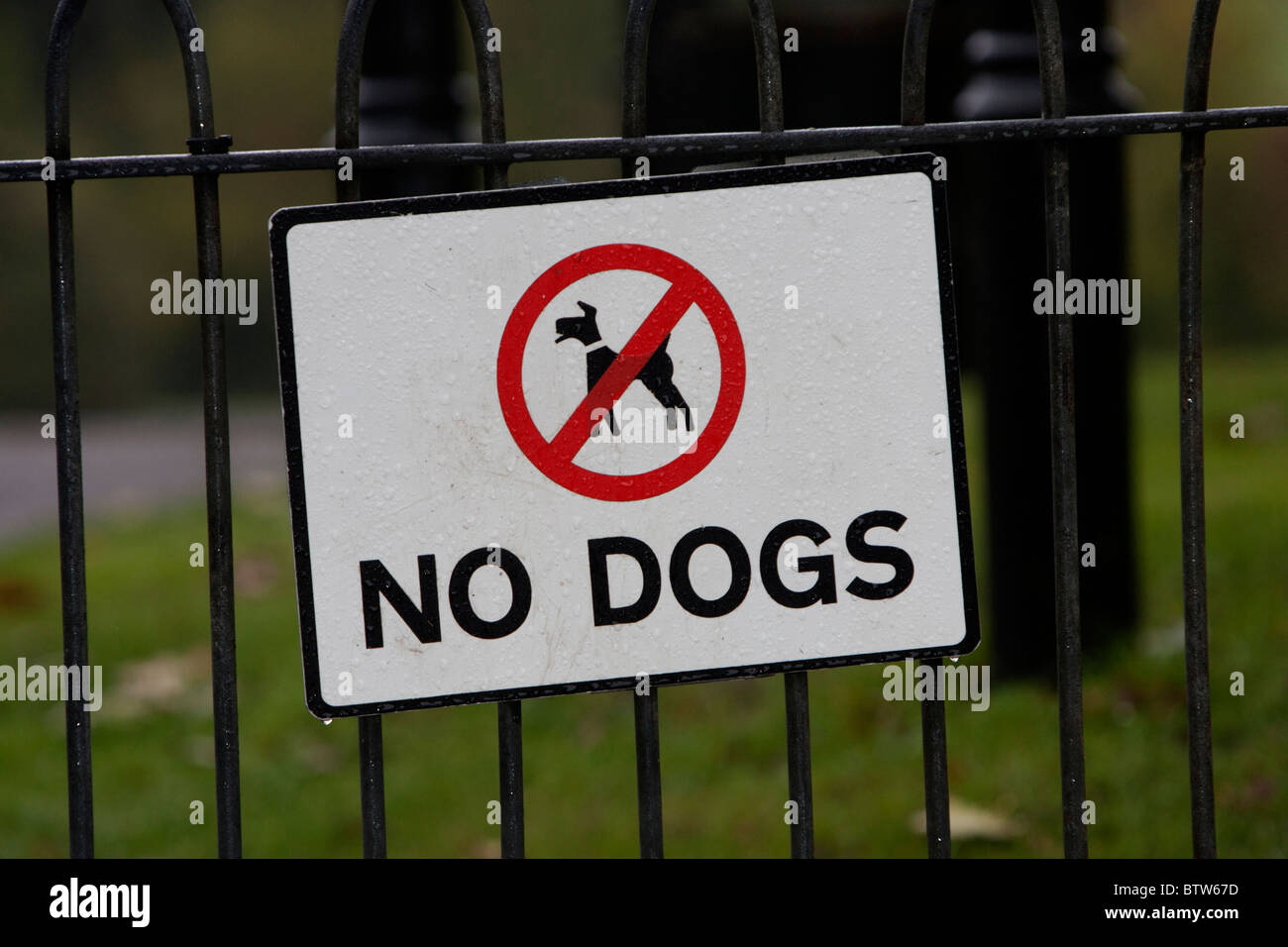 I cani non segno attaccato ad un cancello in Queens Park, Brighton East Sussex, Regno Unito. Foto Stock