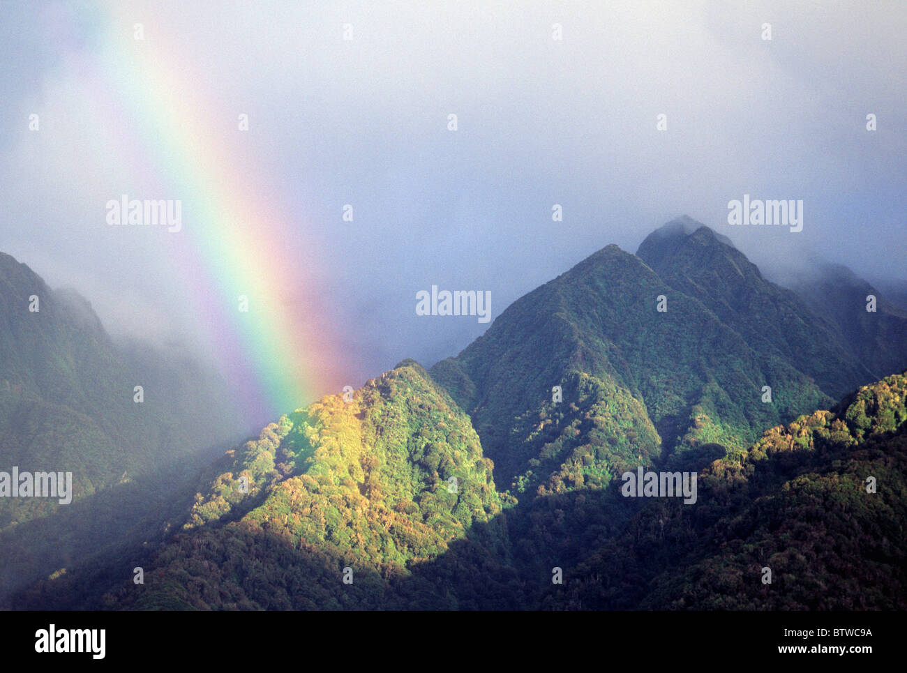 Nuova Zelanda, Isola del Sud, Westland National Park, Fox Glacier area, rainbow sulla foresta nativa Foto Stock