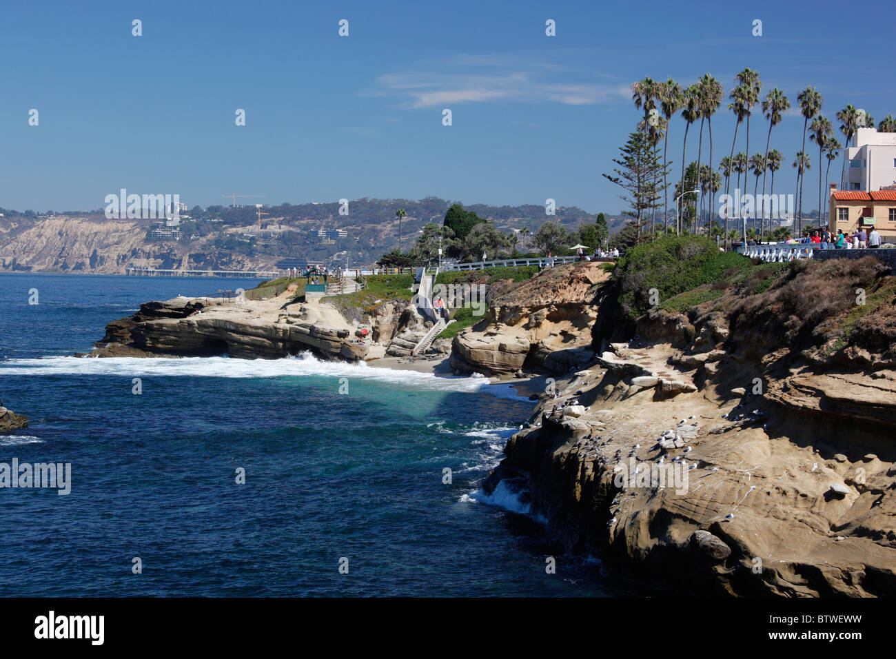 Coste rocciose a La Jolla, California, Stati Uniti d'America. Foto Stock