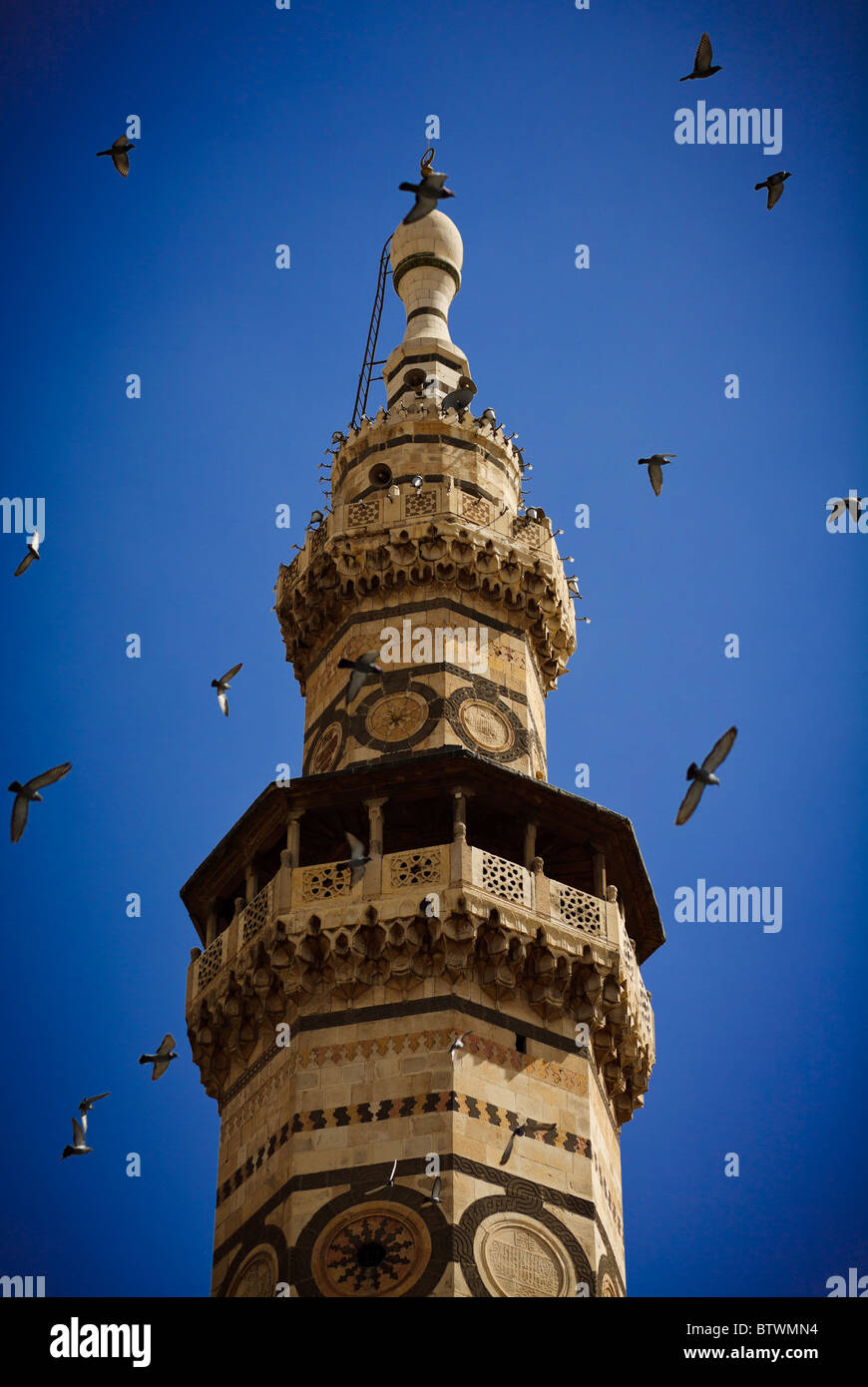 Minareto della grande moschea Umayad, Damasco, Siria Foto Stock