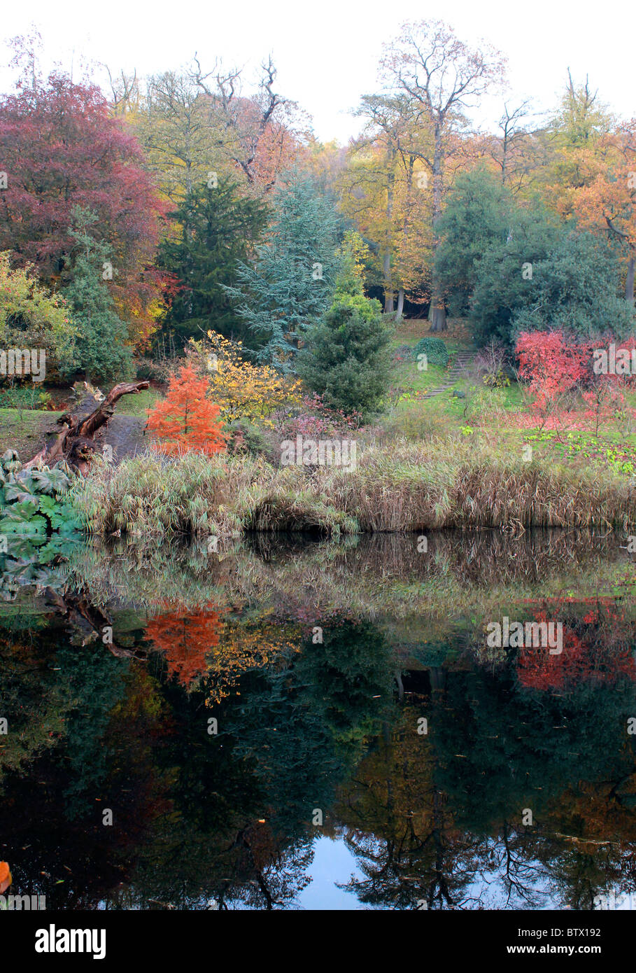 Foglie di autunno di rosso, verde e oro riflesso in un lago Foto Stock