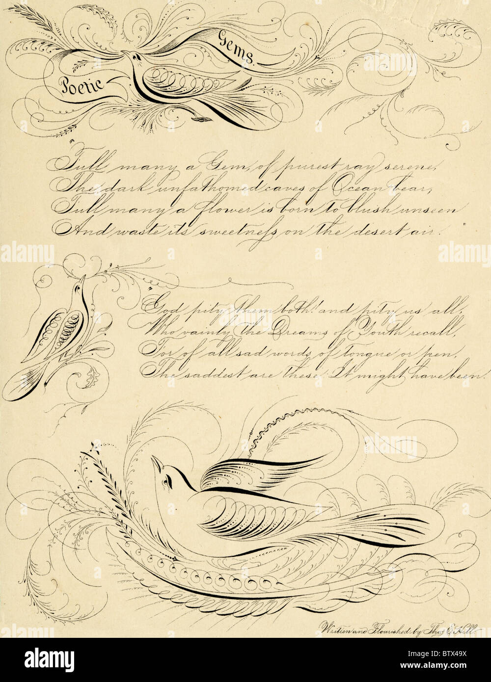 Circa 1840s fiorire calligrafico di poesia e di uccelli, di Thomas E. Hill. Foto Stock