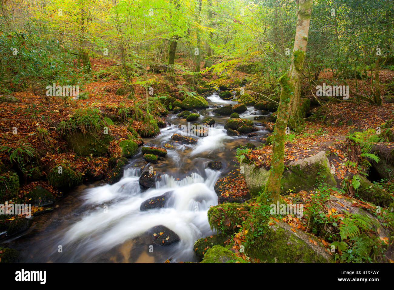 In autunno la cascata nel bosco di Kennall vale la riserva naturale Cornwall Inghilterra Foto Stock
