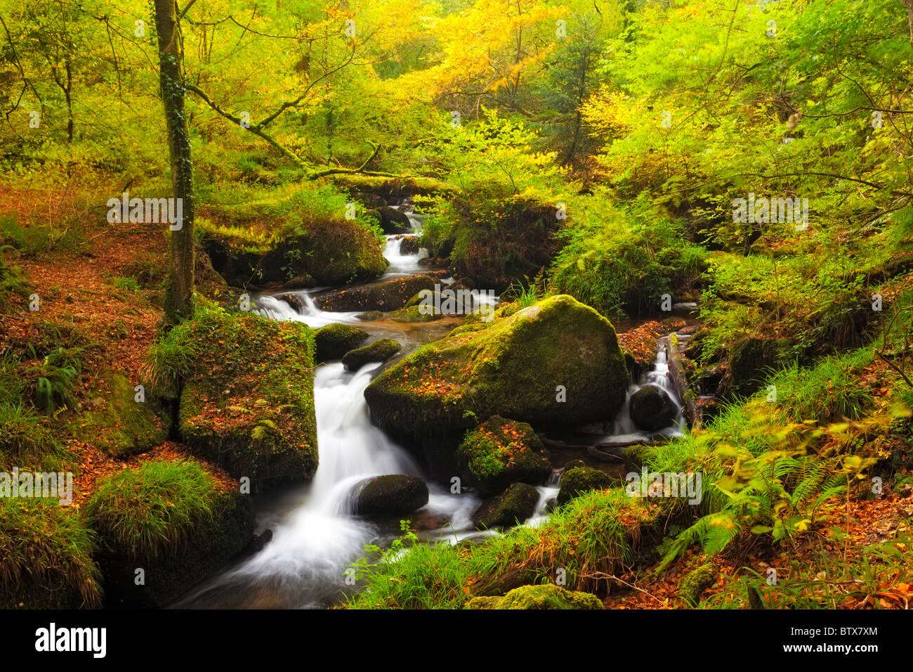 In autunno la cascata nel bosco di Kennall vale la riserva naturale Cornwall Inghilterra Foto Stock