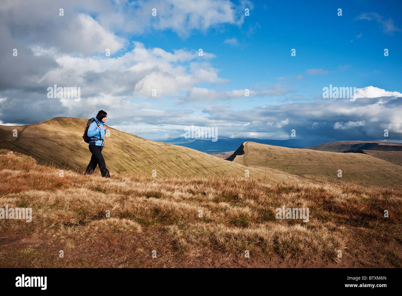 Escursionista femmina escursioni nelle montagne del Parco Nazionale di Brecon Beacons con vista di Pen Y la ventola e Cribyn, Galles Foto Stock