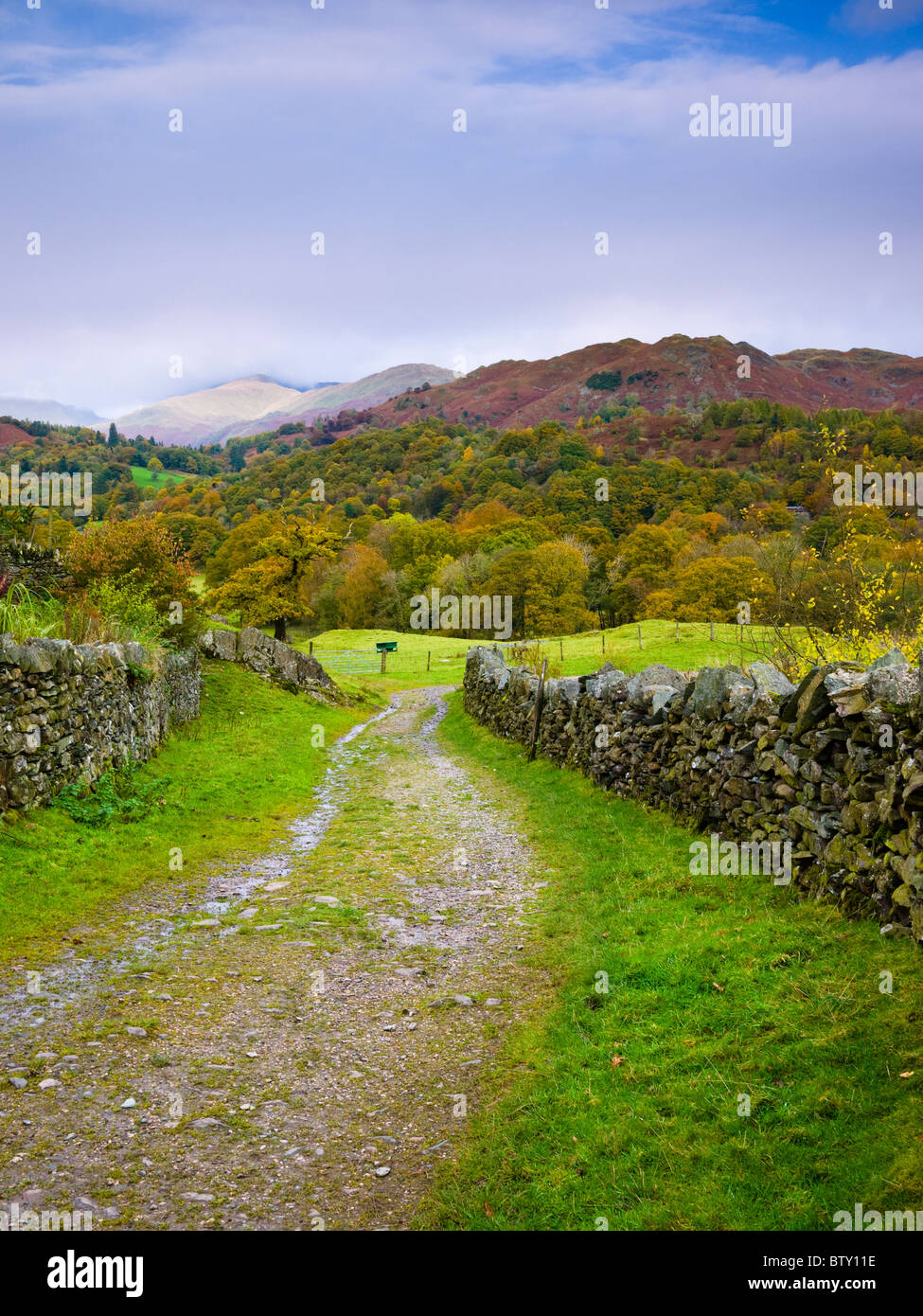 Vista su Loughrigg cadde verso Great Rigg da Park Farm vicino Skelwith Bridge nel Lake District National Park, Cumbria, Inghilterra. Foto Stock