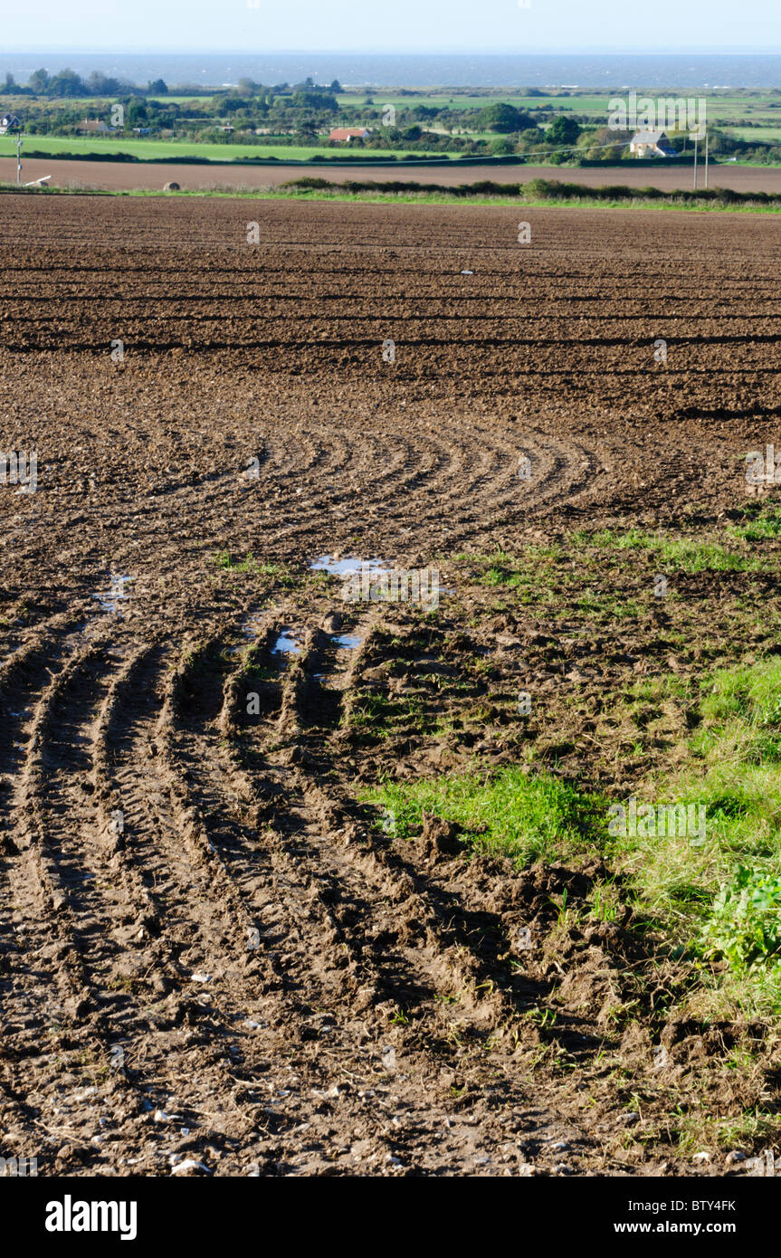 Terreni agricoli tipici paesaggi di campi arati dietro Thornham sulla Costa North Norfolk, Inghilterra Foto Stock