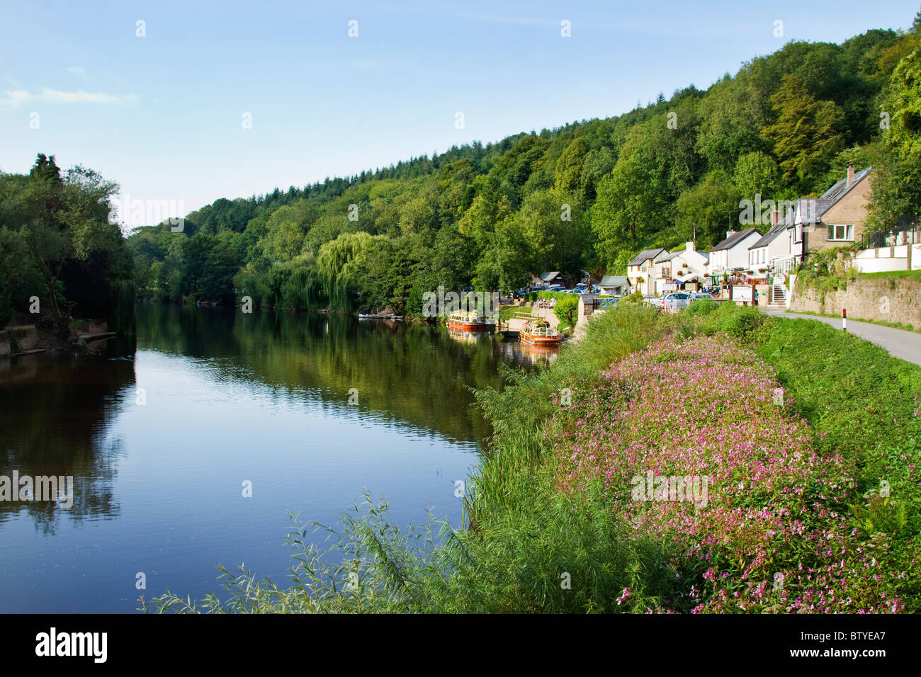 Vista del fiume Wye a Symonds Yat Foto Stock