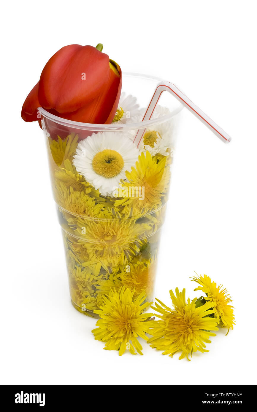 bevande di fiore Foto Stock