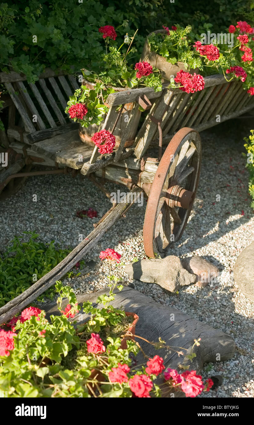 Vecchio carro in legno pieni di fiori, concetto Natura Foto Stock