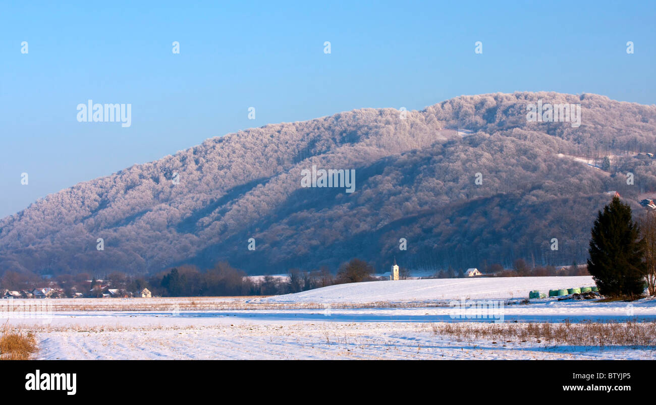 Inverno freddo paesaggio di campi e boschi. Foto Stock