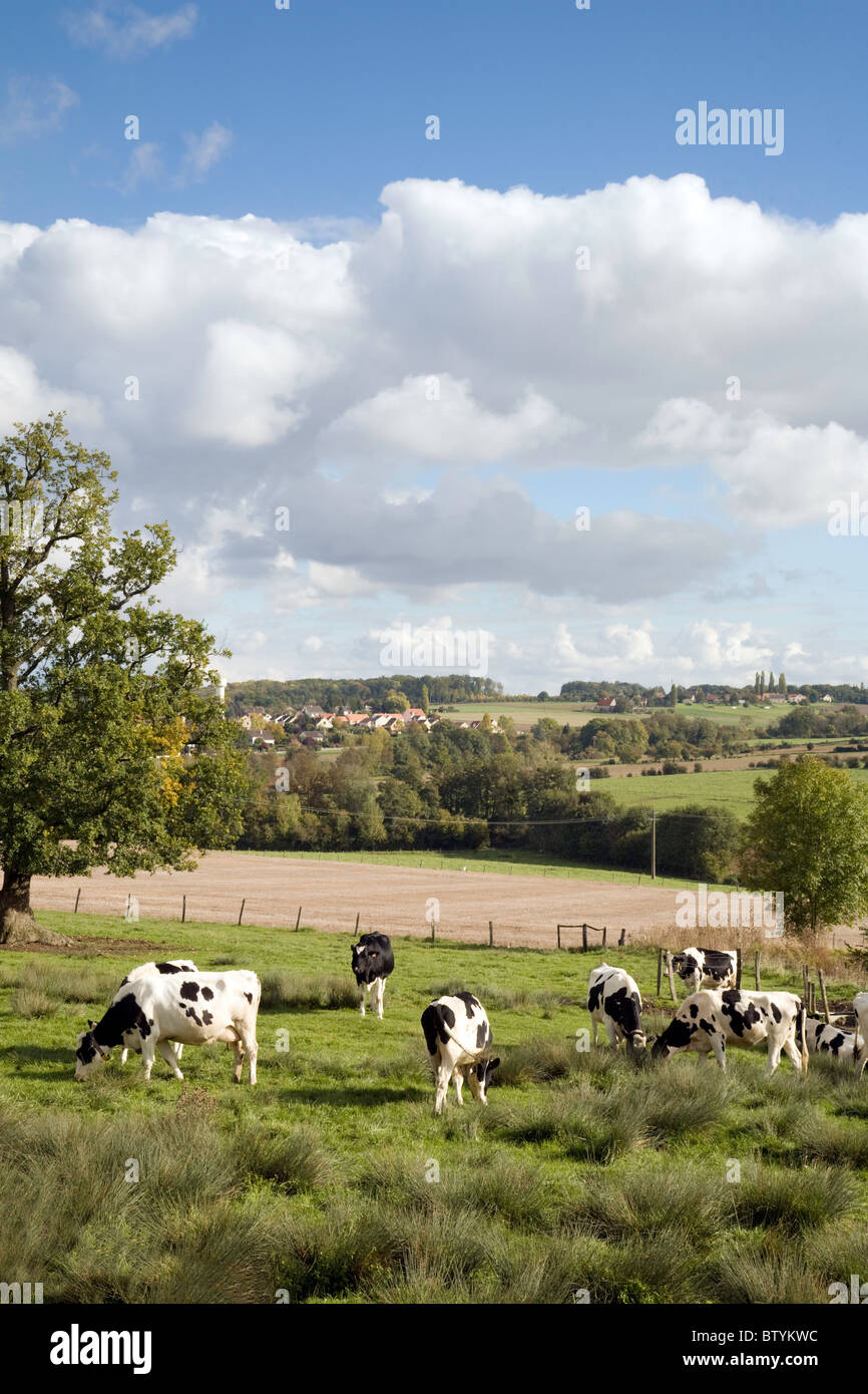 Campagna francese - terreno agricolo che domina il villaggio di St Simeon vicino Coulommiers, ile de france Nord Francia, Europa Foto Stock