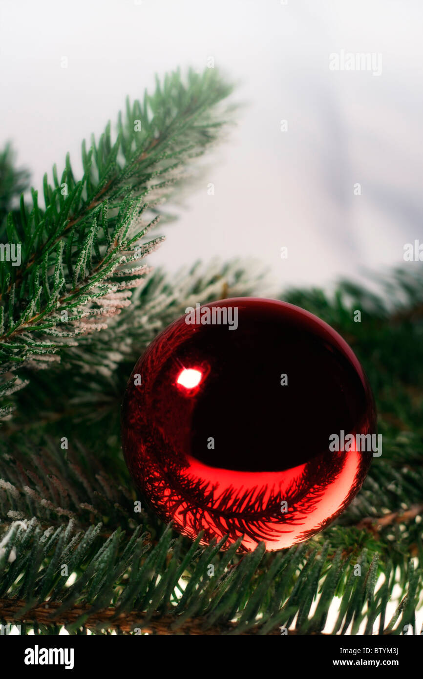 Decorazione di natale, rosso palle di Natale sul ramo di abete rosso Foto Stock