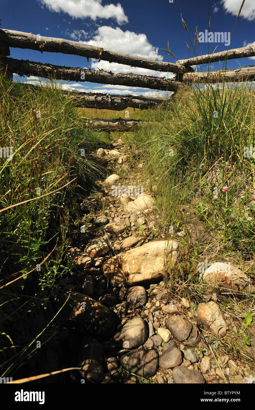 Letto asciutto del torrente, il Fraser river basin, Fraser, Colorado Foto Stock