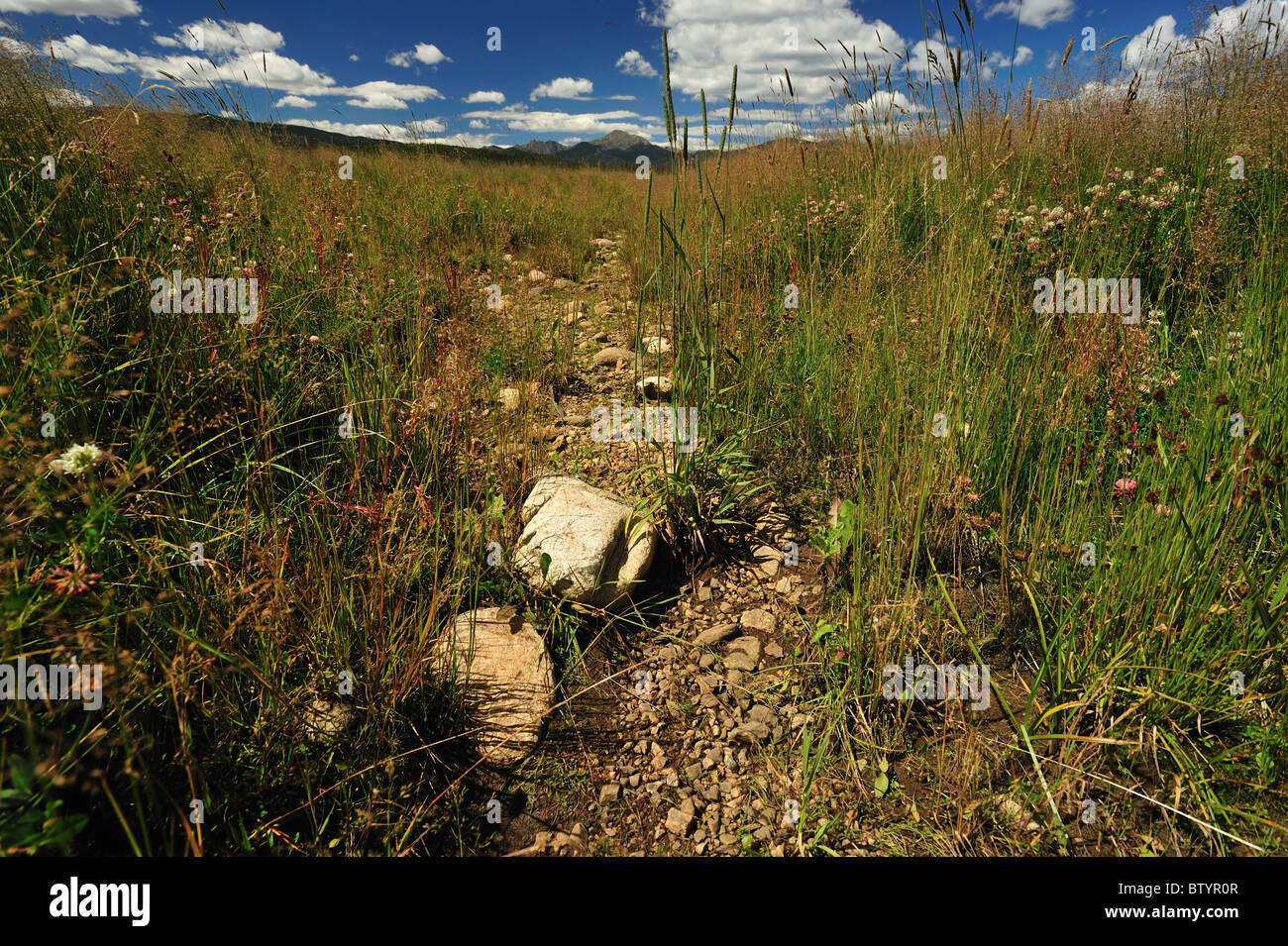 Letto asciutto del torrente, il Fraser river basin, Fraser, Colorado Foto Stock