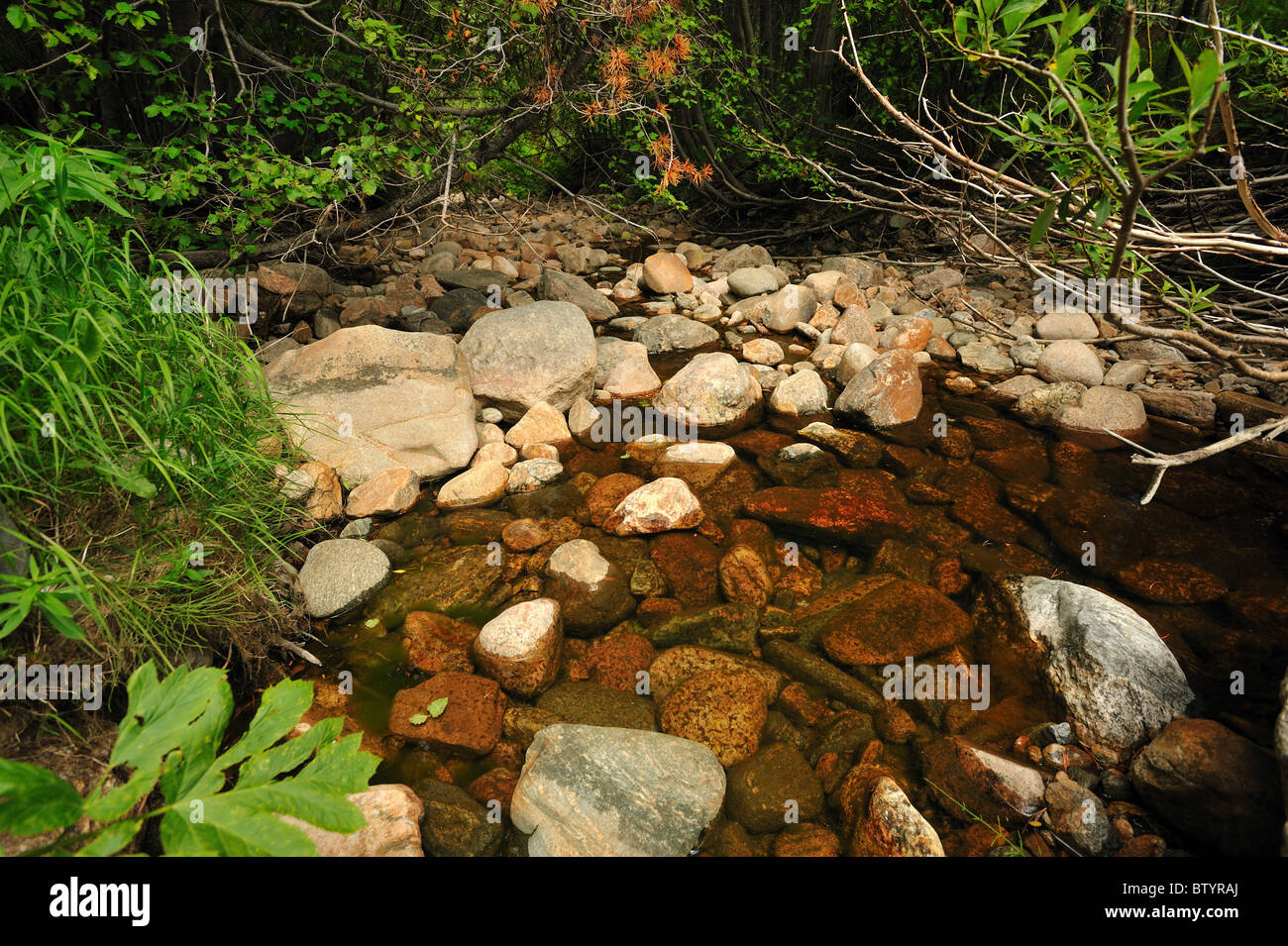 Jim Creek Dam diversione, Fraser river basin, Winter Park, COLORADO Foto Stock