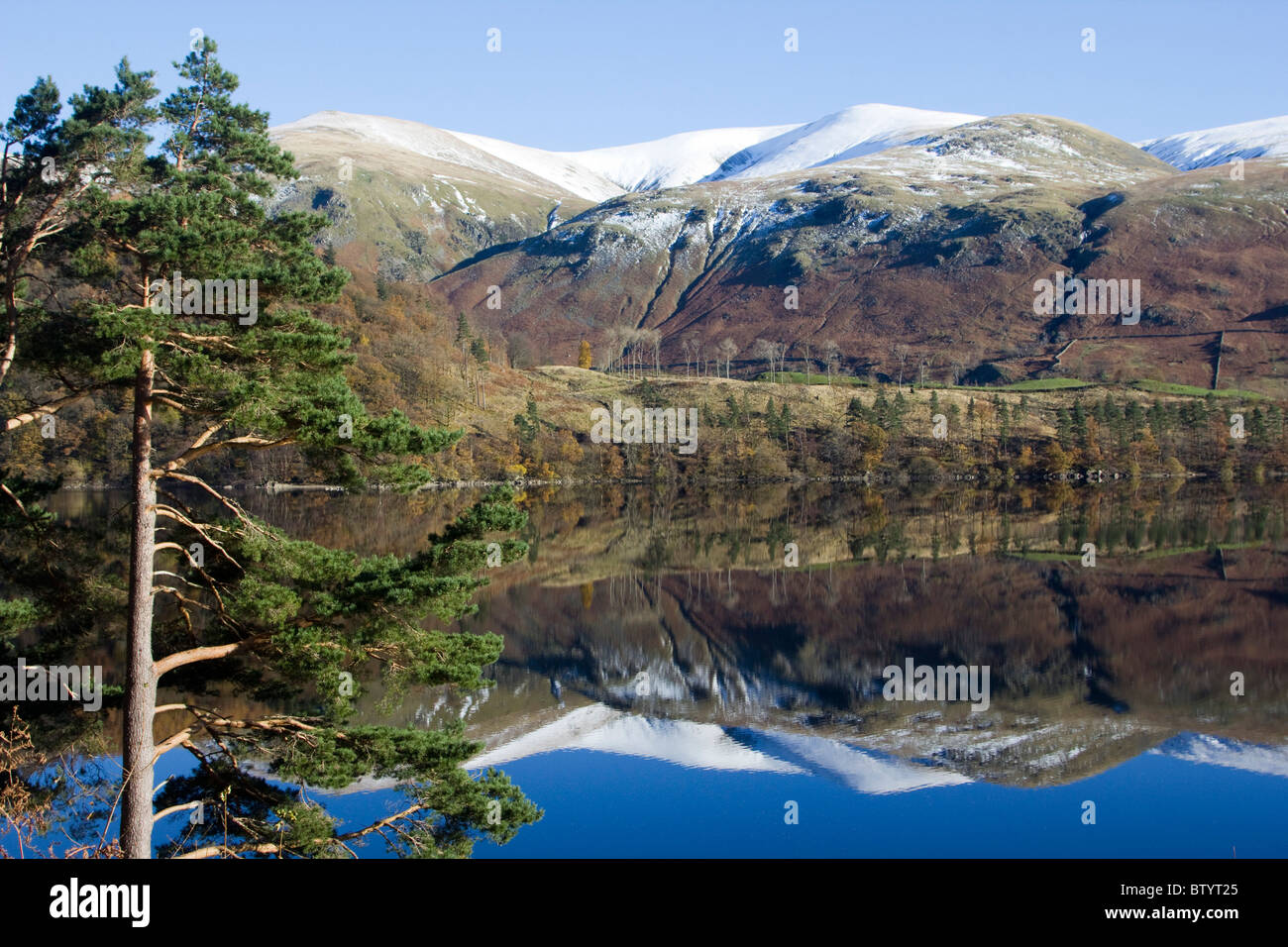 Lake Thirlmere cumbria Lake District National Park England Regno unito Gb Foto Stock