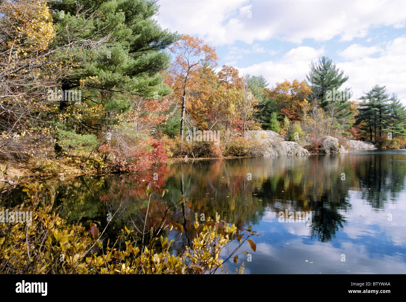 Tardo Autunno colori presso il lago di argento nella prenotazione Breakheart Saugus, Massachusetts Foto Stock