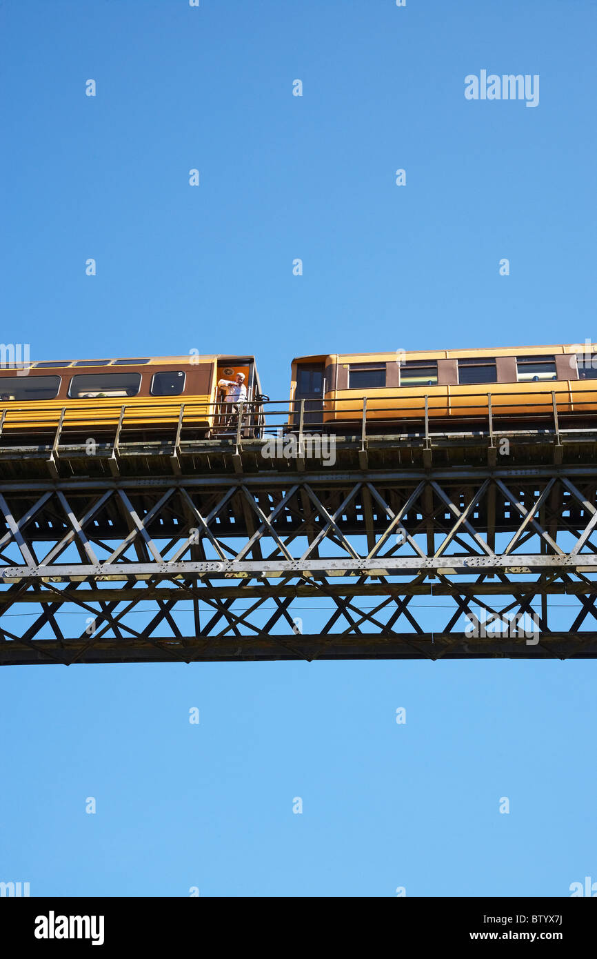 Taieri Gorge treno sul viadotto Wingatui, vicino a Dunedin, Otago, Isola del Sud, Nuova Zelanda Foto Stock