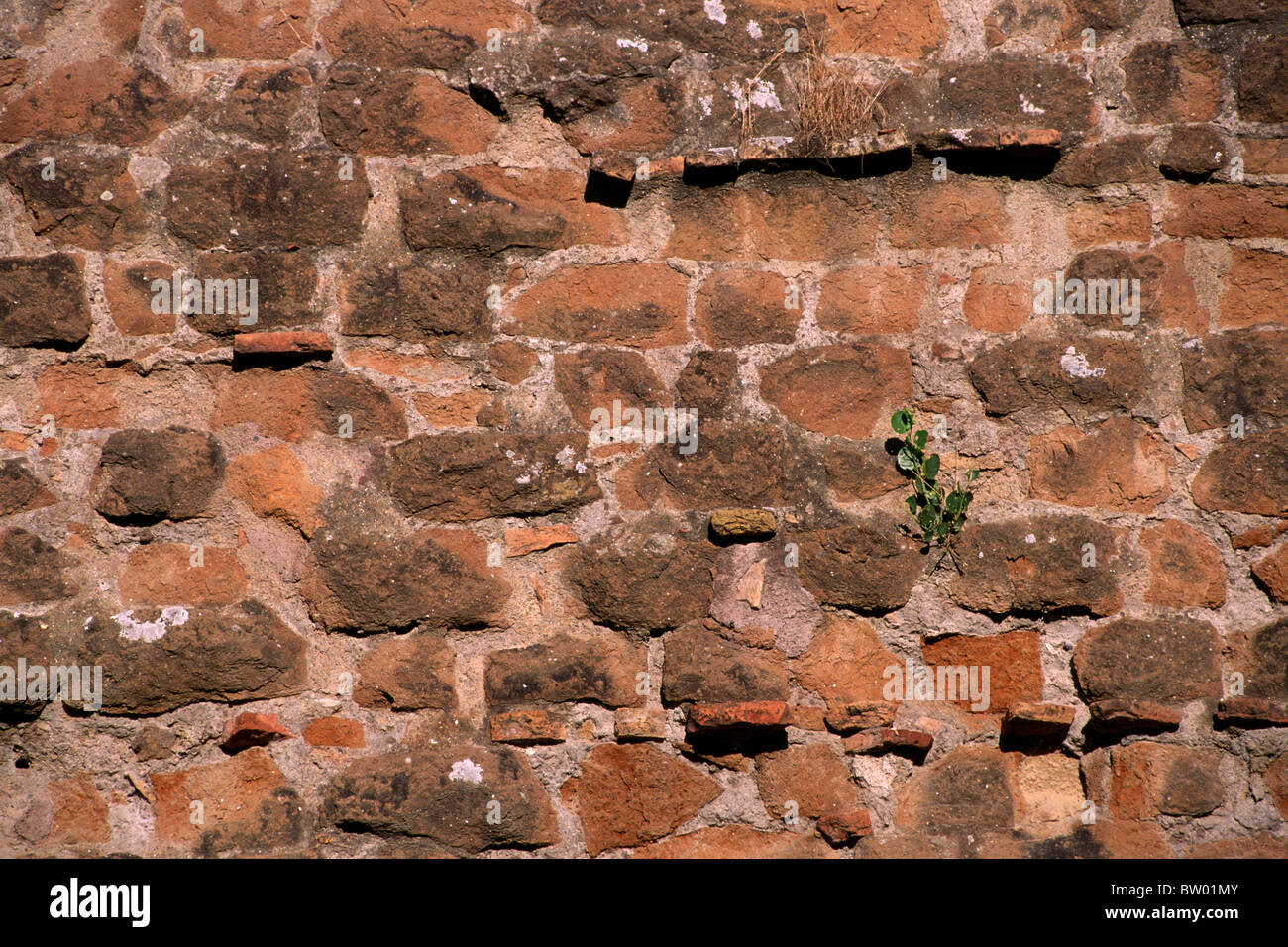 Italia, Roma, Mura Aureliane, mattoni romani da vicino Foto Stock
