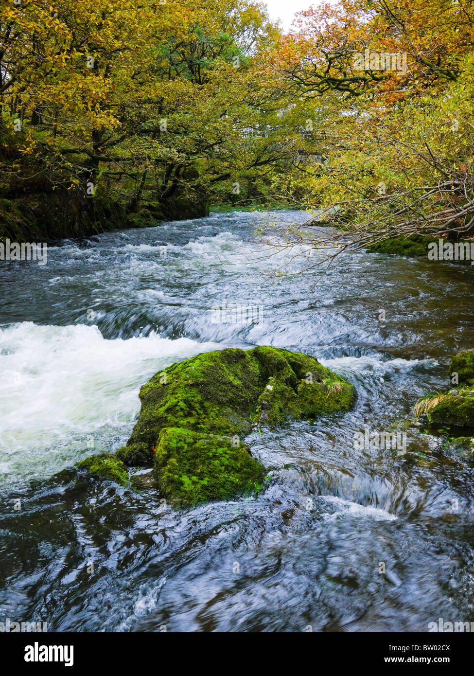 Forza Skelwith cascata sul fiume Brathay a Skelwith Bridge nel Parco Nazionale del Distretto dei Laghi, Cumbria, Inghilterra. Foto Stock
