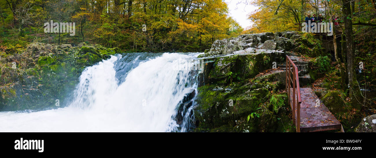 Forza Skelwith cascata sul fiume Brathay a Skelwith Bridge nel Parco Nazionale del Distretto dei Laghi, Cumbria, Inghilterra. Foto Stock