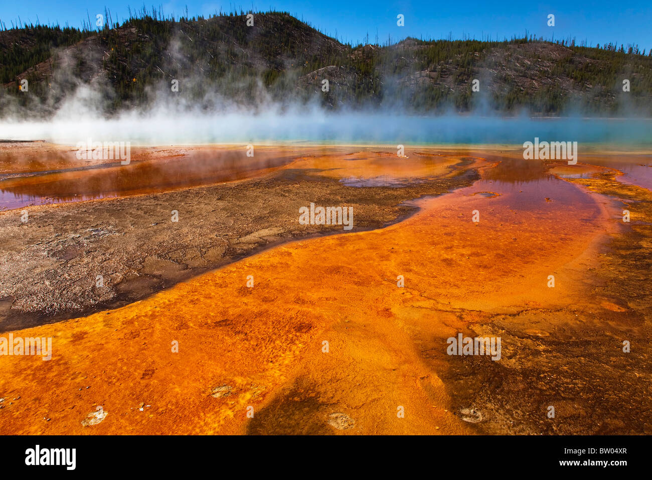 Yellowstone la coloratissima e incredibile Grand Prismatic Spring Foto Stock