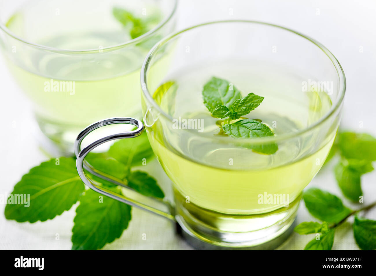 Vista dettagliata del tè alla menta fresca, circondato da di menta fresca Foto Stock