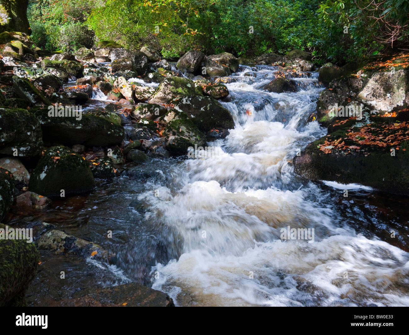 Il fiume Avon nel Parco Nazionale di Dartmoor vicino a Didwarthly, Devon, Inghilterra. Foto Stock