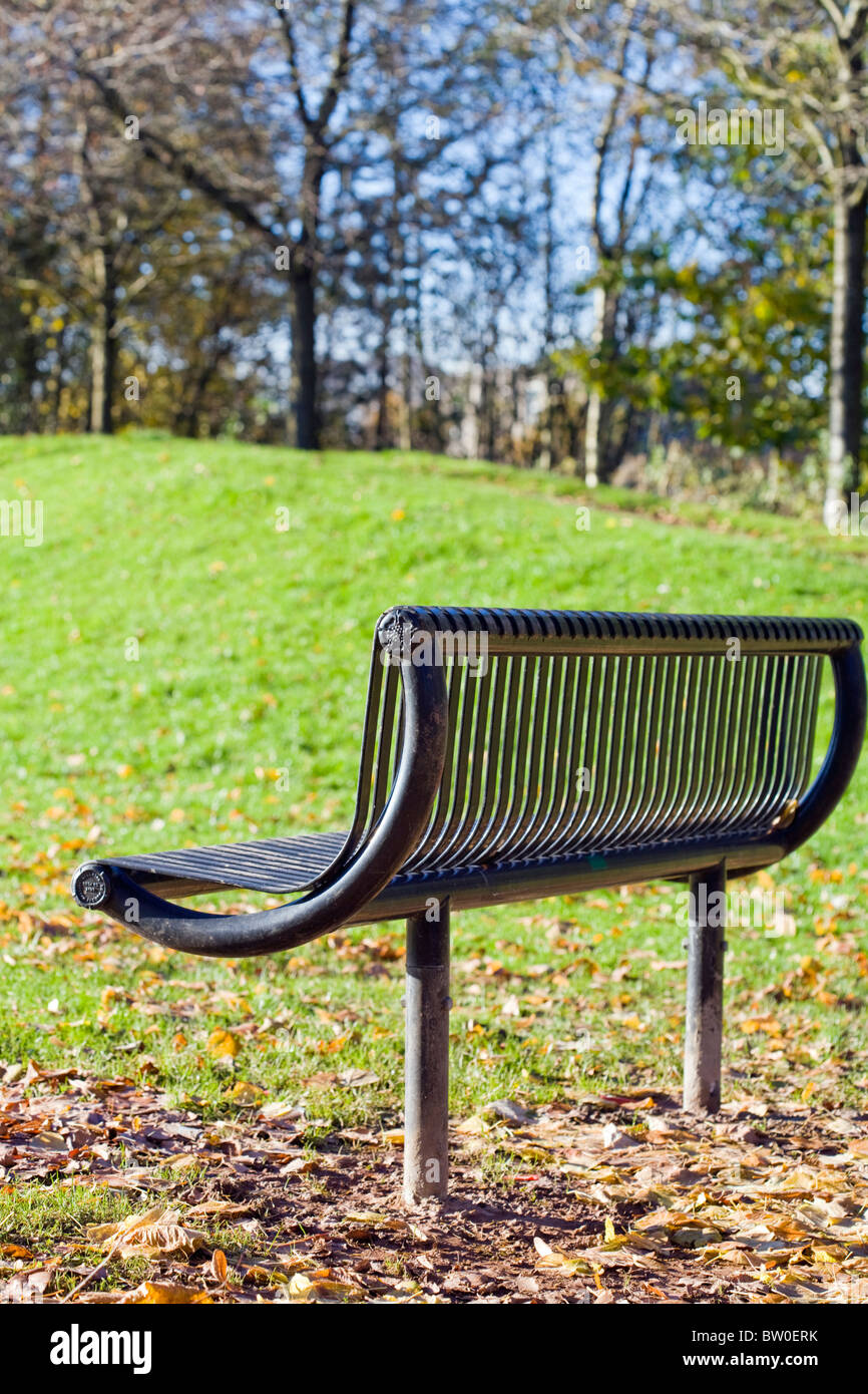 Verticale messa a fuoco selettiva di immagine di un metallo una panchina nel parco IN AUTUNNO Foto Stock