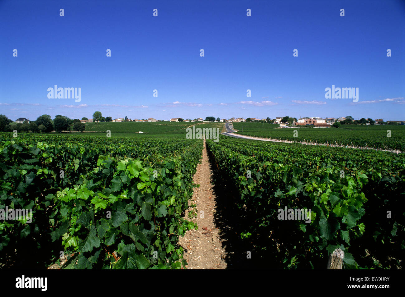 Francia, Bordeaux, Medoc Foto Stock