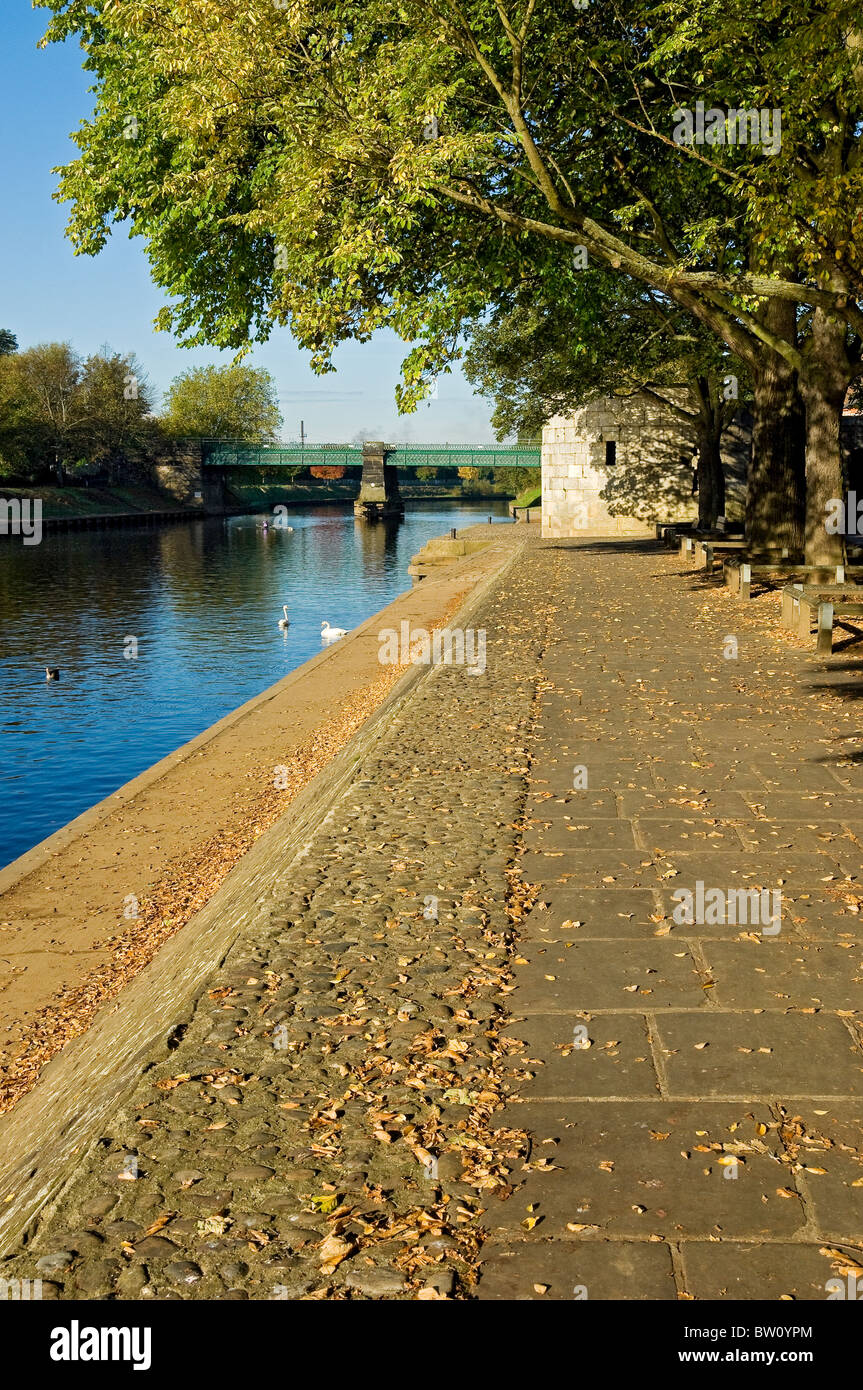 Lungofiume lungo il fiume Ouse in autunno York North Yorkshire Inghilterra Regno Unito Gran Bretagna Foto Stock