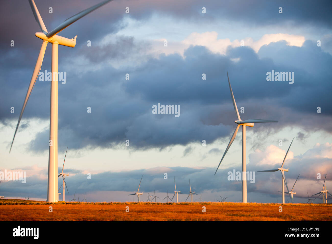 Crepuscolo sopra Whitelee wind farm su Eaglesham Moor appena a sud di Glasgow in Scozia, Regno Unito, è il più grande d'Europa onshore wind farm. Foto Stock