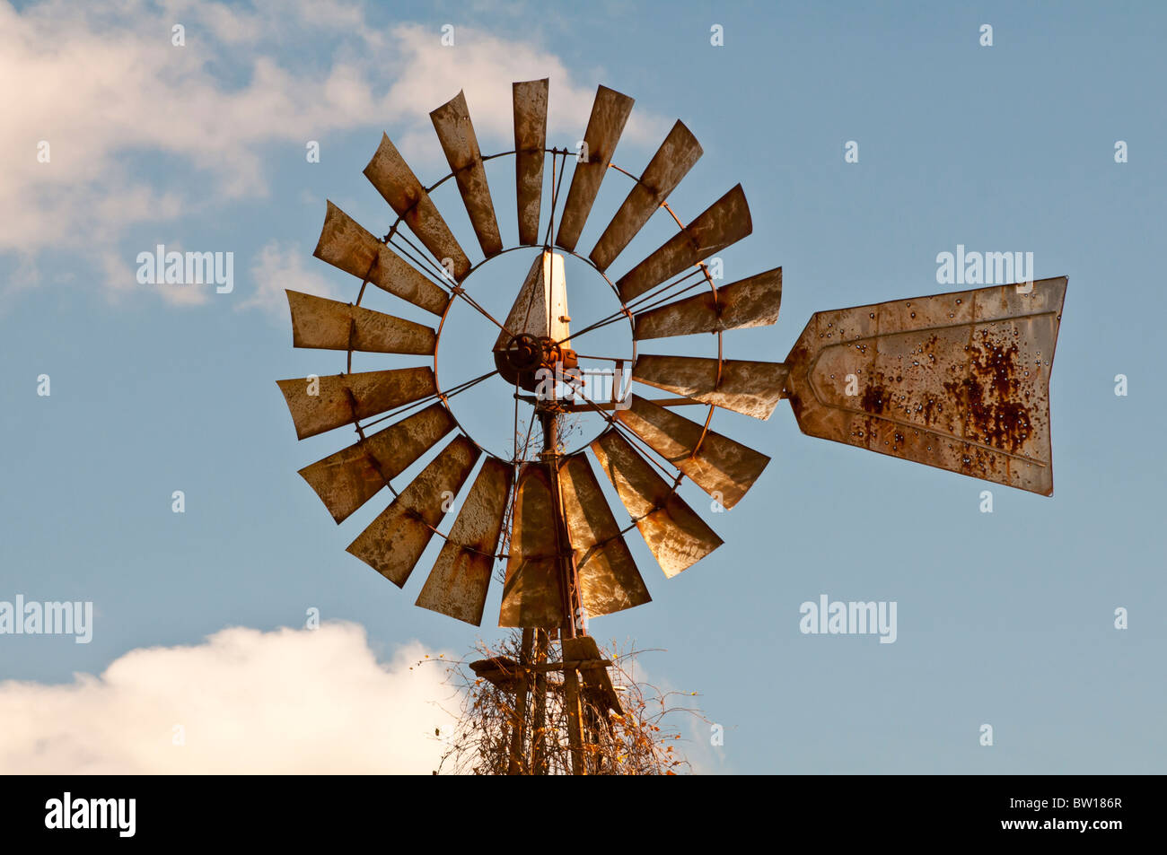 Il mulino a vento americano/windpump vicino Viroqua, Wisconsin, STATI UNITI D'AMERICA Foto Stock