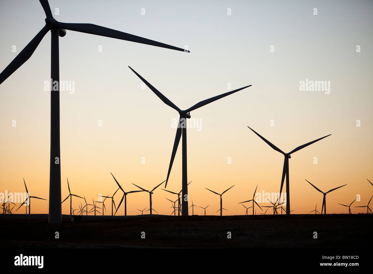 Alba sul Whitelee wind farm su Eaglesham Moor appena a sud di Glasgow in Scozia, Regno Unito, è il più grande d'Europa onshore wind farm. Foto Stock