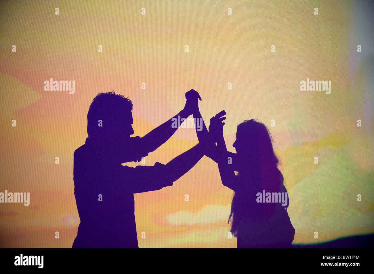 IFA 2008, Sony mostra hall, Berlino, Germania Foto Stock