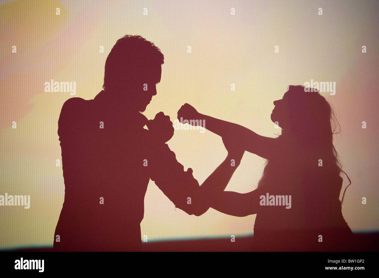 IFA 2008, Sony mostra hall, Berlino, Germania Foto Stock