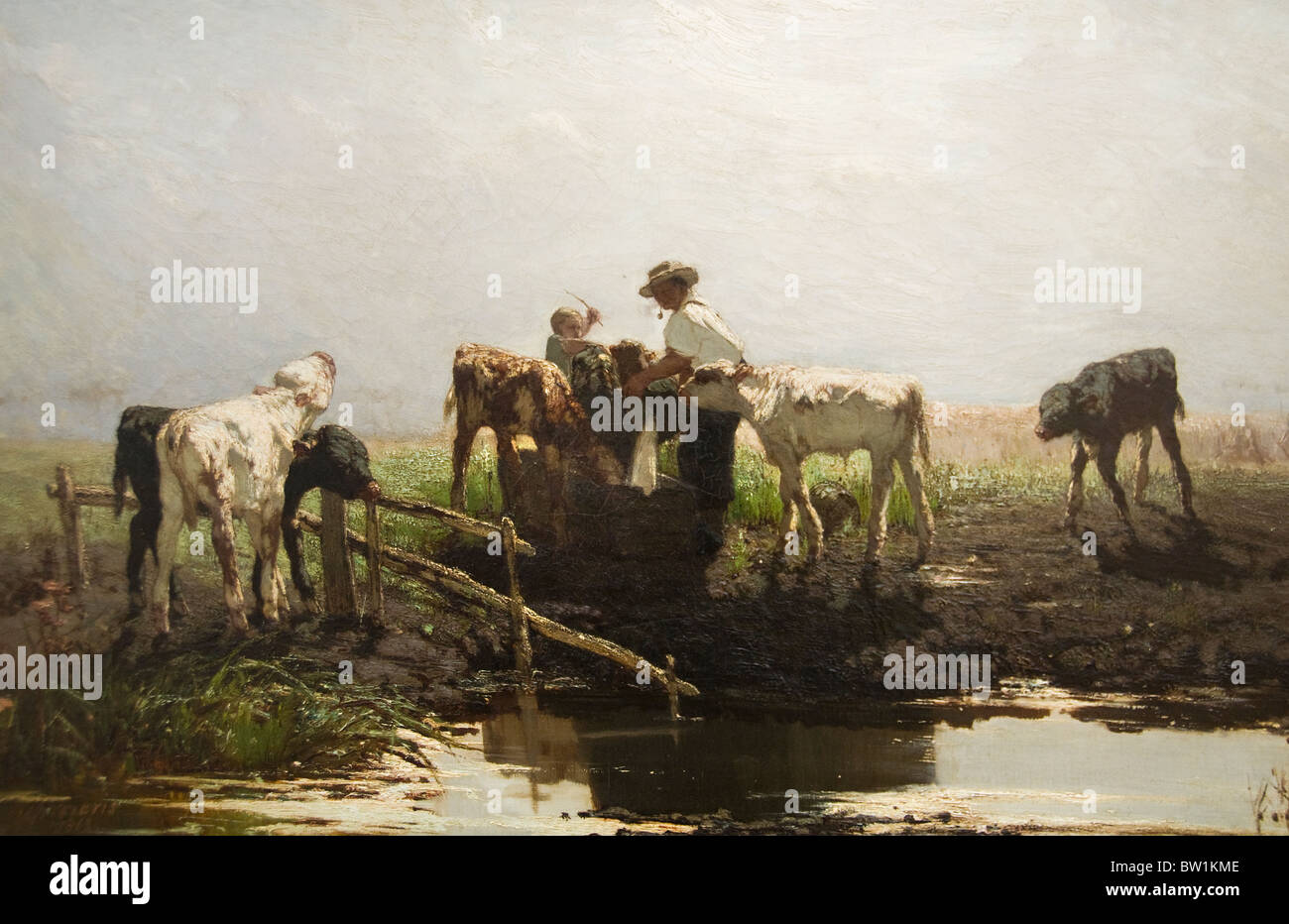 Pittura olandese Willem Maris i vitelli in trogolo 1863 Foto Stock