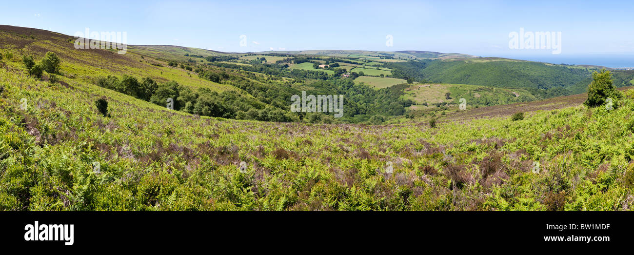 Una vista panoramica di Exmoor guardando a nord oltre Cloutsham verso Porlock Bay da Dunkery Hill, Somerset Foto Stock