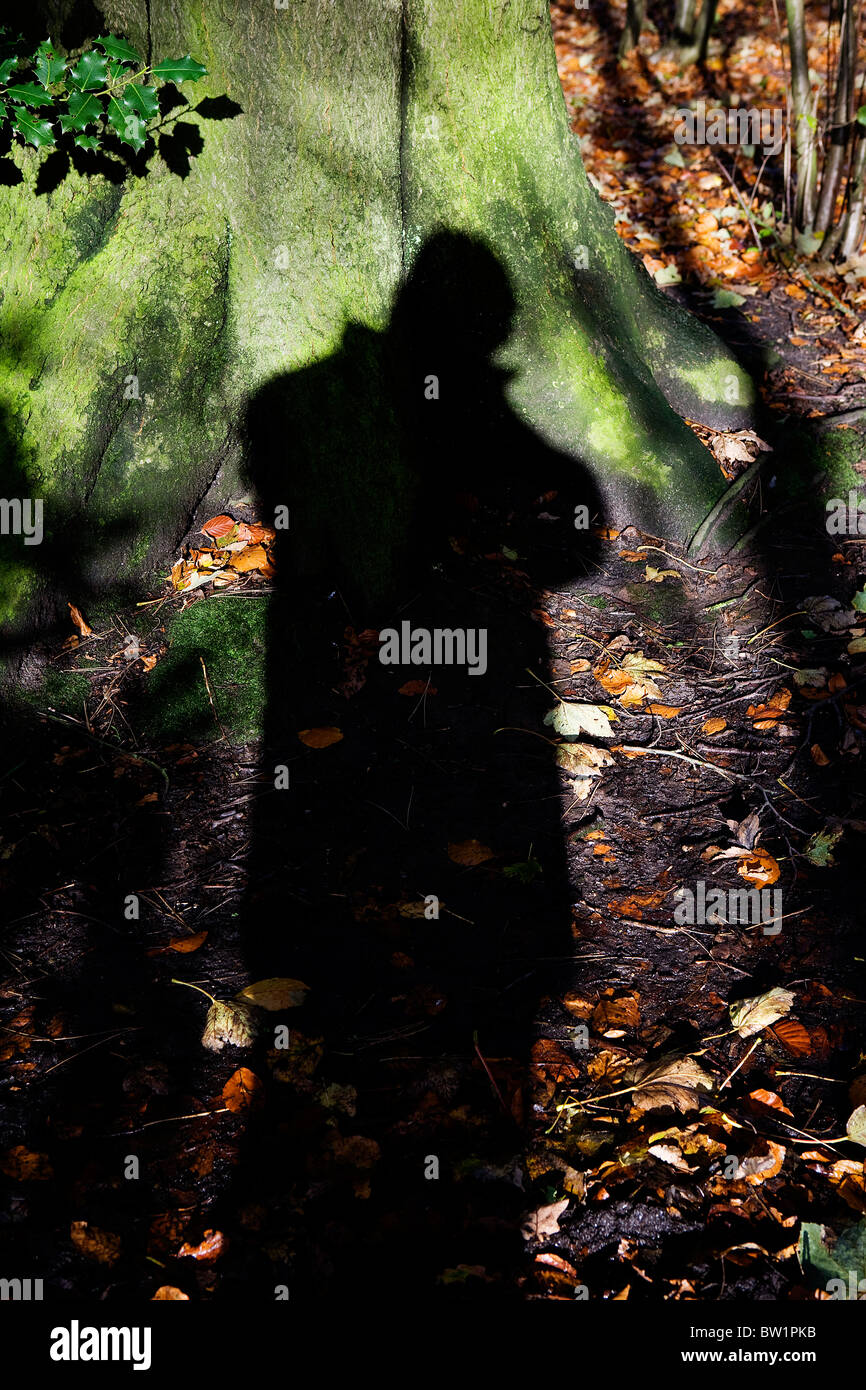 Ombra del fotografo contro un albero in boschi a Grappenhall Heys, Warrington, Cheshire in autunno Foto Stock