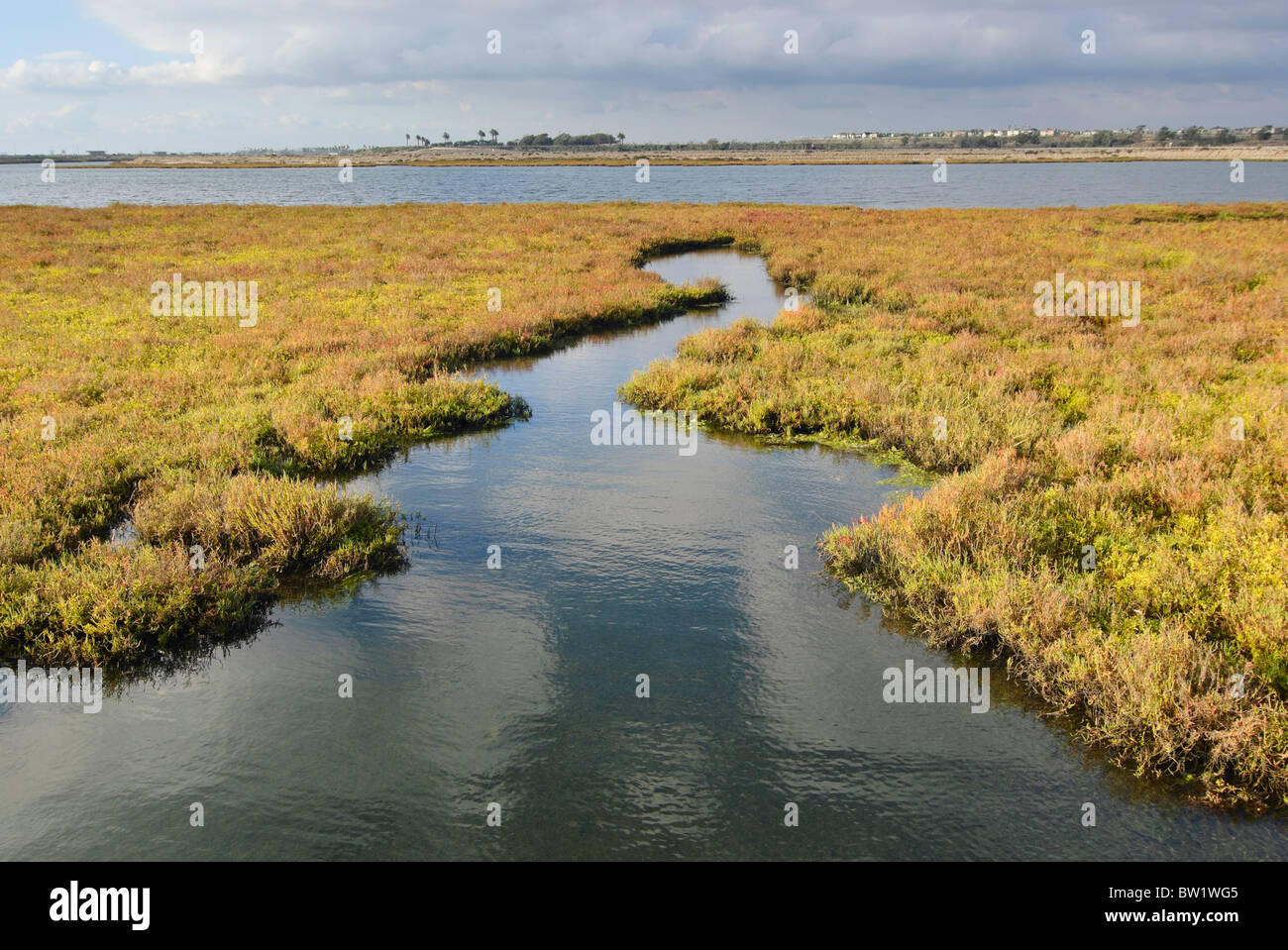 Bolsa Chica riserva ecologica delle zone umide. Foto Stock