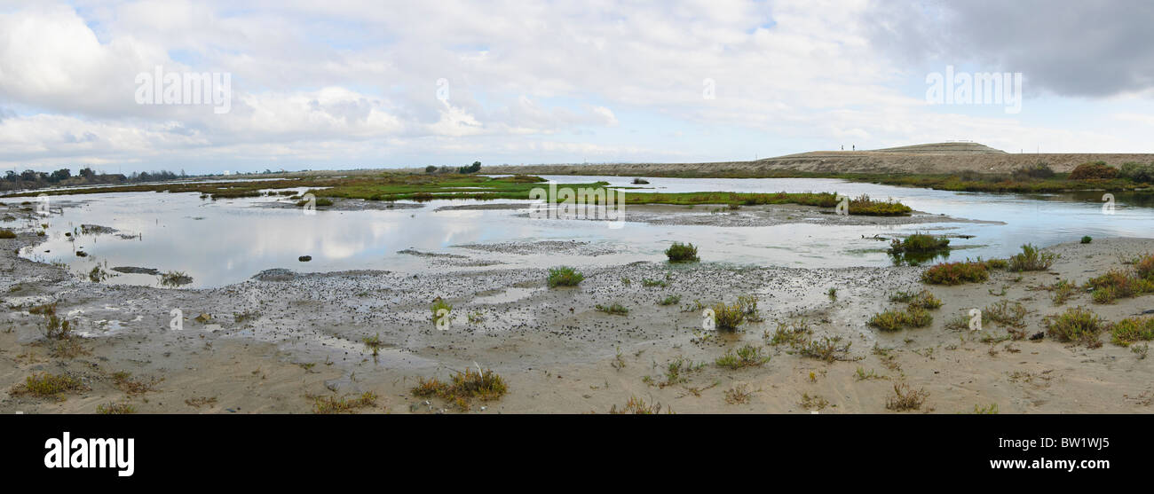 Bolsa Chica riserva ecologica delle zone umide. Foto Stock